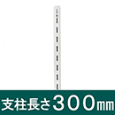 ピラシェル支柱 WPS013 300mm 白【和気産業】